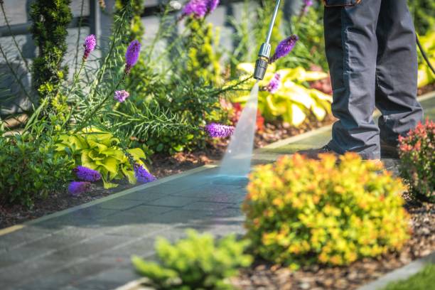 Reliable Weston, OH Pressure Washing Services Solutions